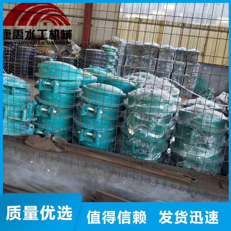 閘門廠家供應(yīng)