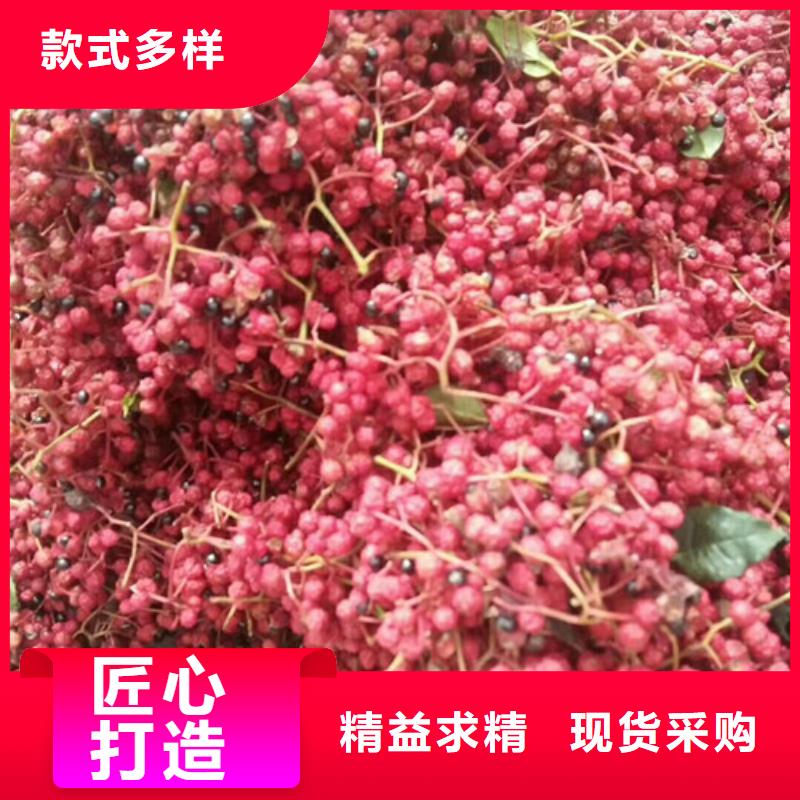 花椒苗蓝莓苗优选厂家