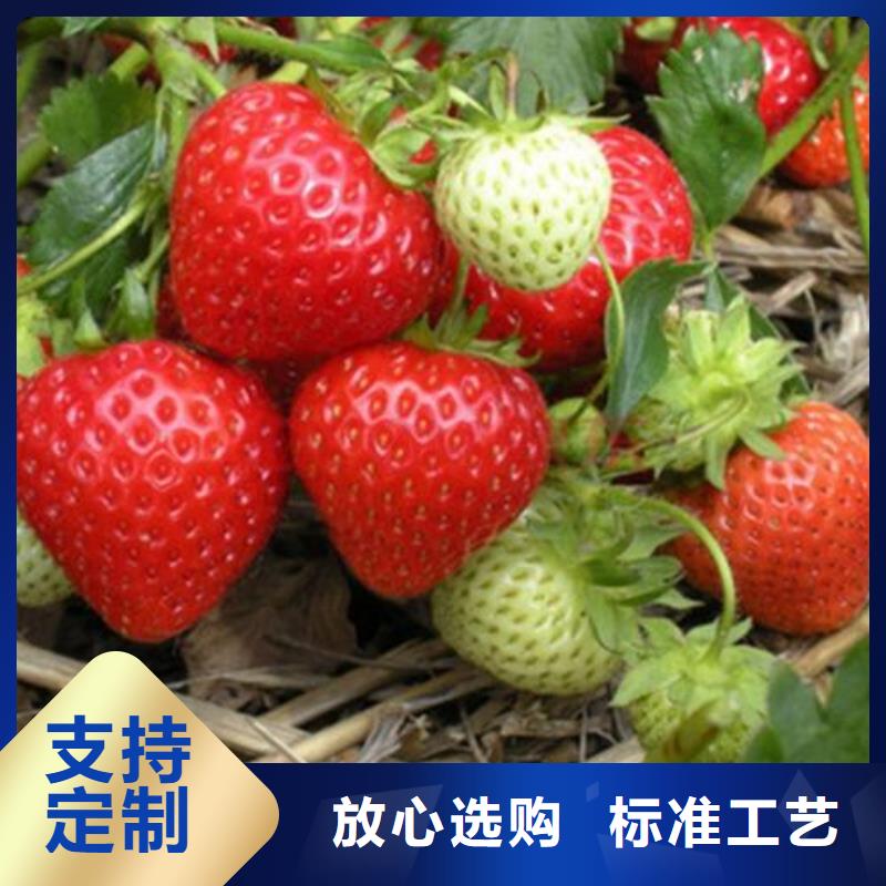 草莓苗【花椒苗】一个起售