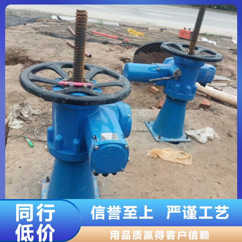 螺桿式啟閉機(jī)手動(dòng)啟閉機(jī)信譽(yù)有保證