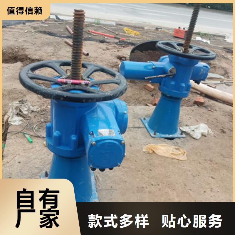 螺桿式啟閉機(jī)-雙吊點(diǎn)啟閉機(jī)我們更專業(yè)