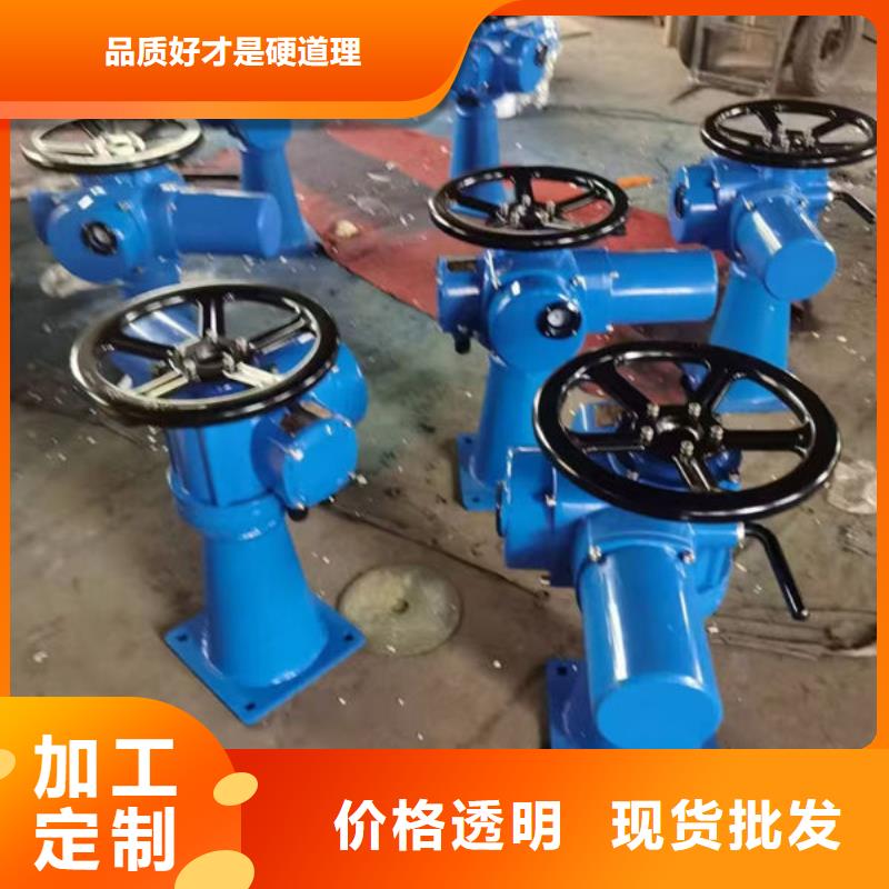 螺桿式啟閉機(jī)-雙吊點(diǎn)啟閉機(jī)我們更專業(yè)