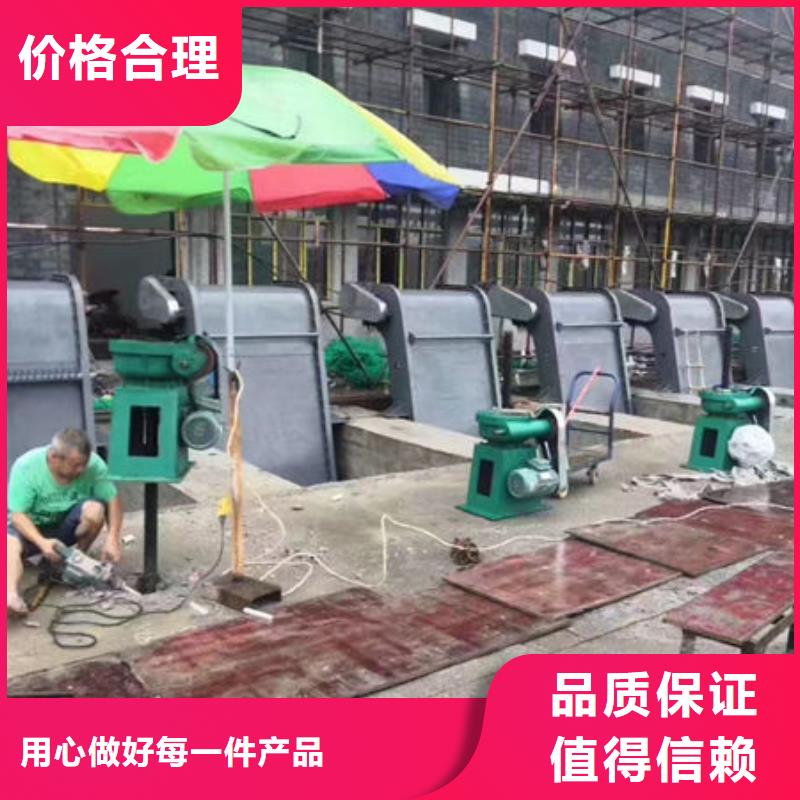 螺桿式啟閉機(jī)直聯(lián)式啟閉機(jī)買(mǎi)的放心安興用的舒心