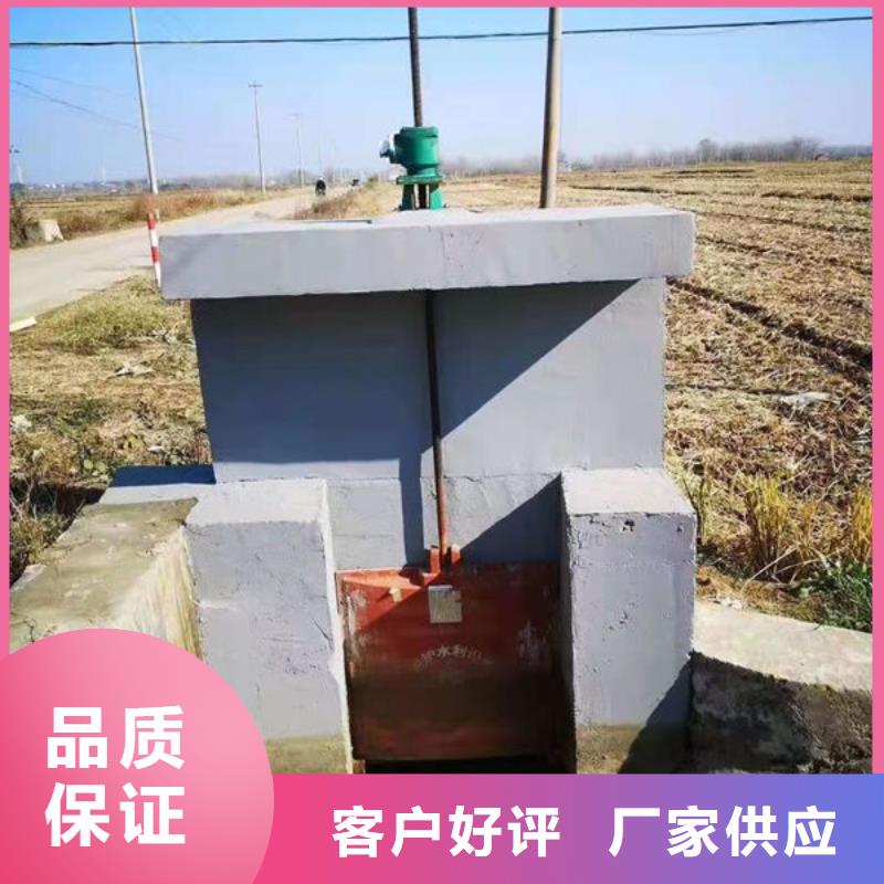 鑄鐵閘門機(jī)閘一體式鑄鐵閘門精心