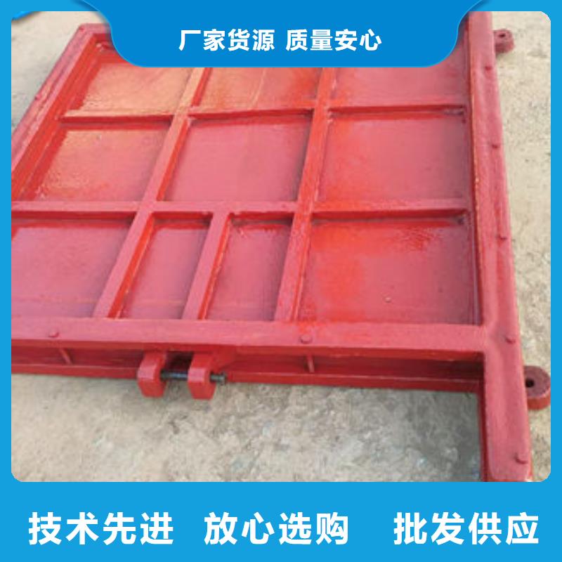 鑄鐵鑲銅閘門價(jià)格