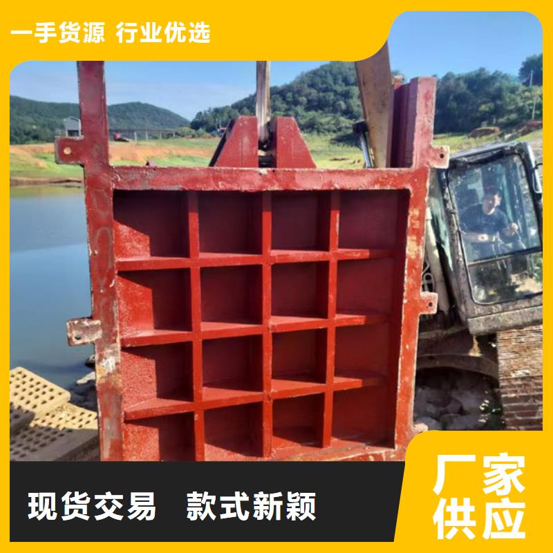 鑄鐵鑲銅閘門訂制