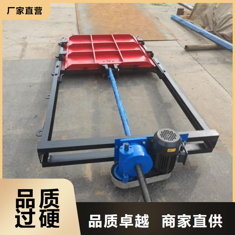 一體式閘門規(guī)格齊全