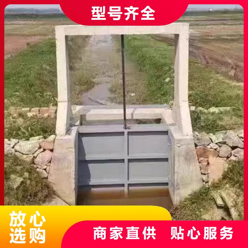 鑄鐵閘門(mén)公司供應(yīng)