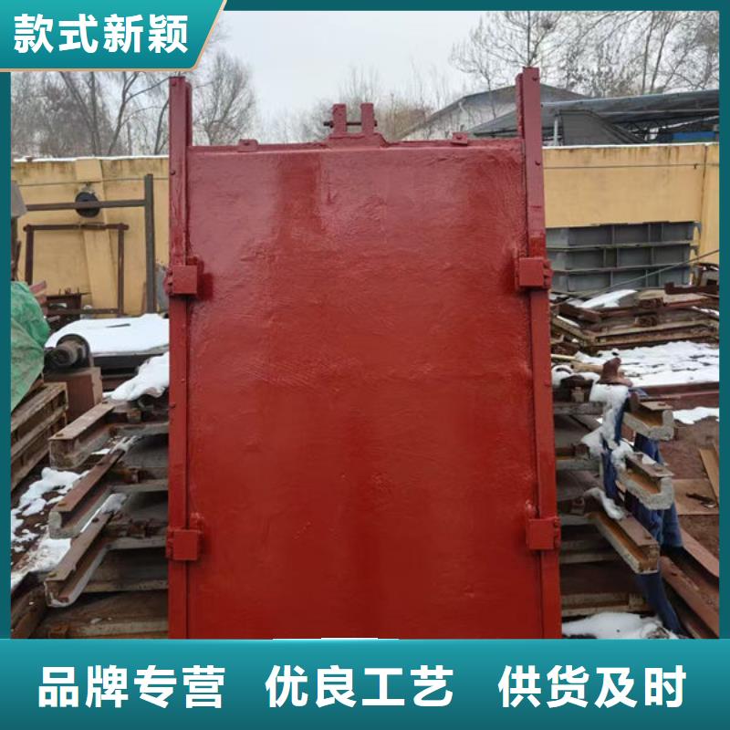 一體式閘門規(guī)格齊全