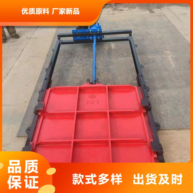 鑄鐵鑲銅閘門供應(yīng)