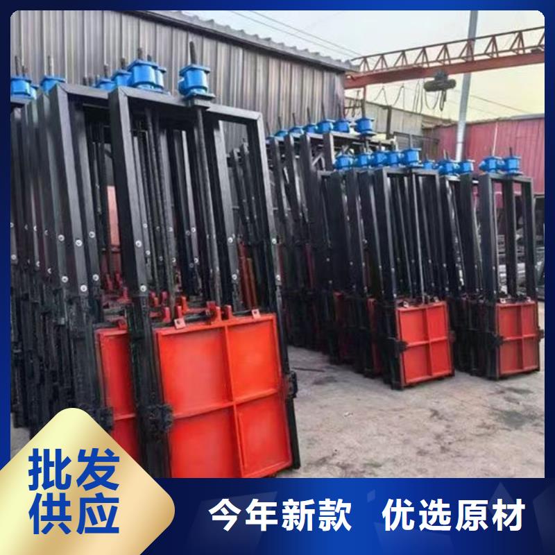 鑄鐵閘門復合閘門工藝成熟