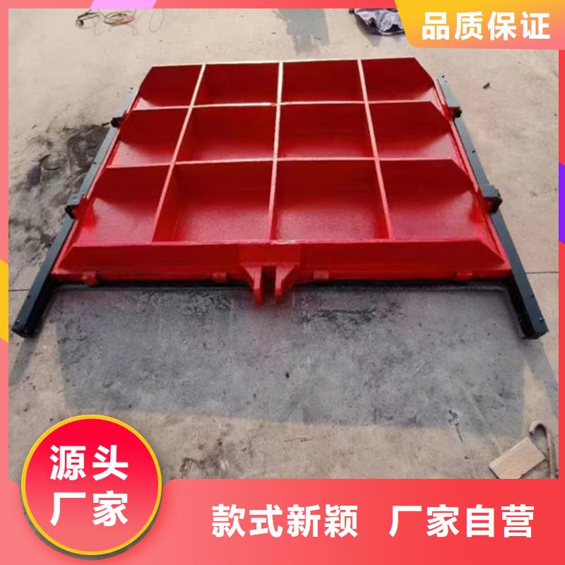 鑄鐵閘門扇形閘門讓客戶買的放心