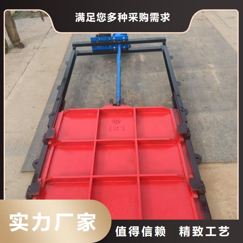 鑄鐵閘門_扇形閘門應(yīng)用廣泛