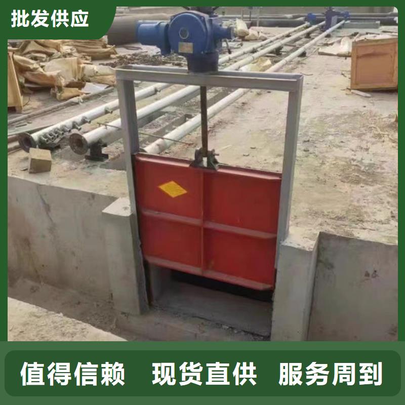 斜拉閘門用途廣泛斜拉閘門用途廣泛