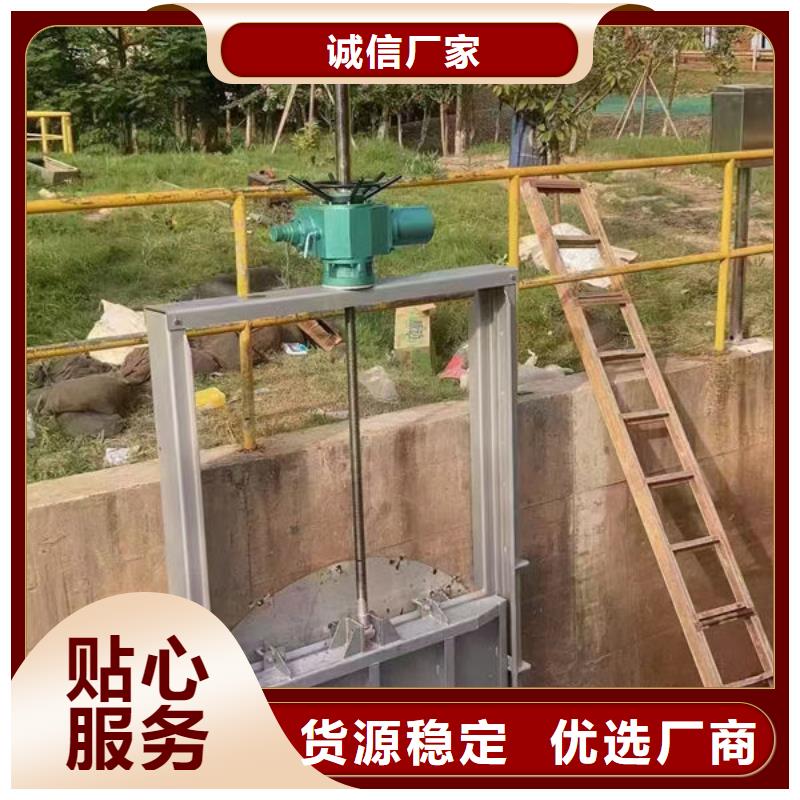 鑄鐵閘門_手提鑄鐵閘門供貨及時(shí)