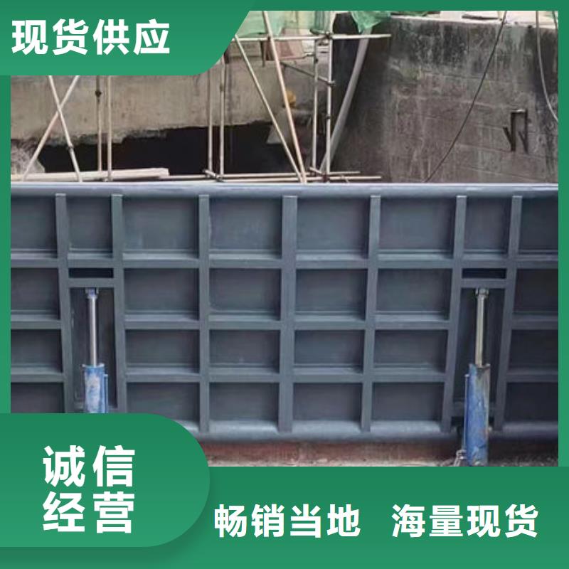 鋼壩閘門景觀鋼閘門實力派廠家