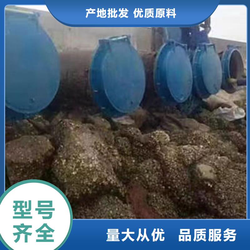 拍門鋼制拍門現(xiàn)貨滿足大量采購