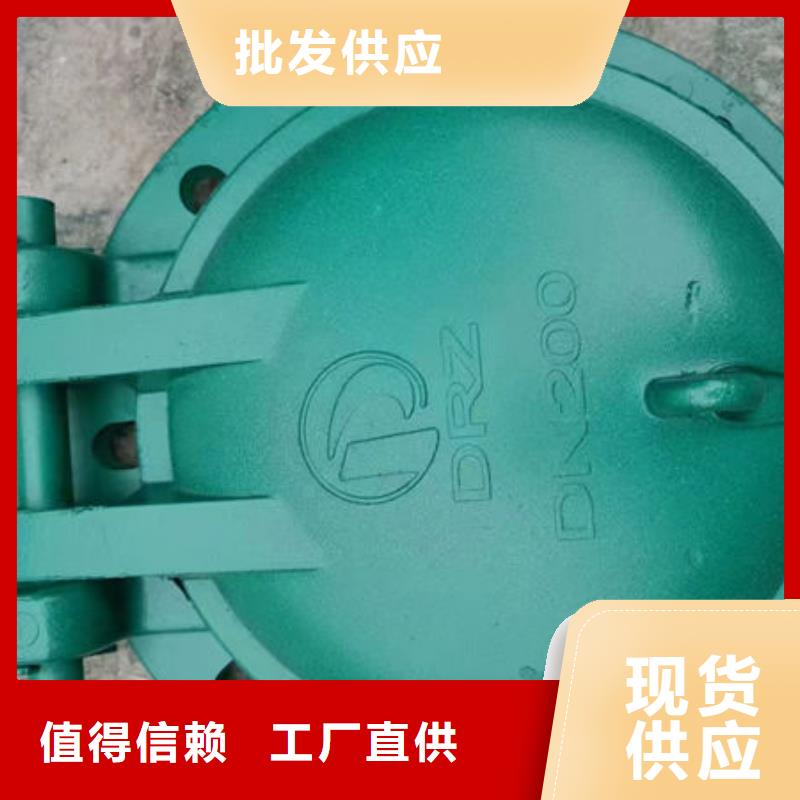 拍門鑄鐵拍門支持定制