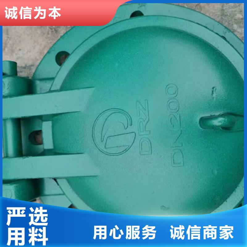 拍門_防倒灌拍門詳細(xì)參數(shù)