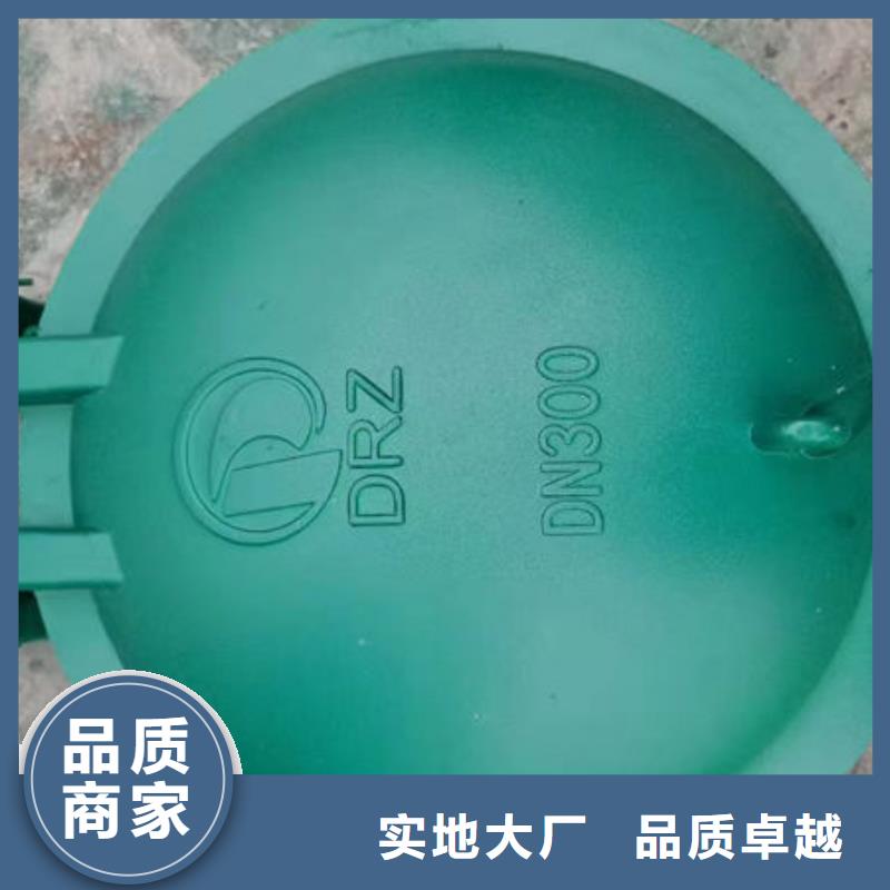 拍門拍門種類齊全