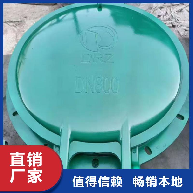 拍門鋼制拍門好貨有保障