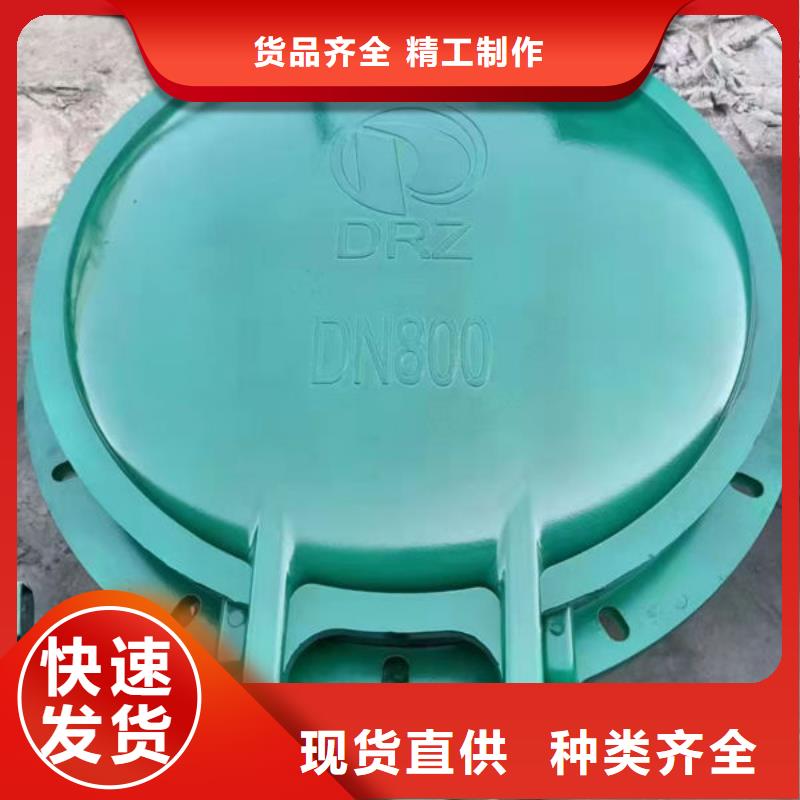 拍門球墨鑄鐵拍門客戶信賴的廠家