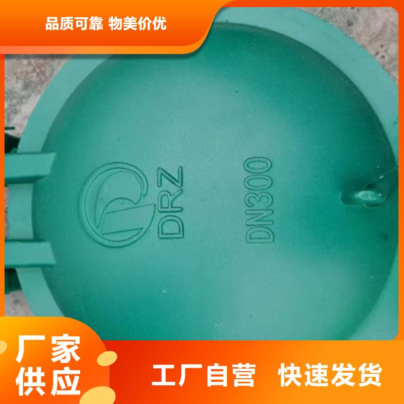 拍門(mén)-防倒灌拍門(mén)廠家實(shí)力雄厚
