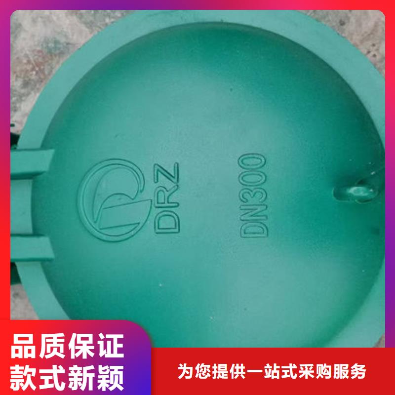 拍門球墨鑄鐵拍門客戶信賴的廠家