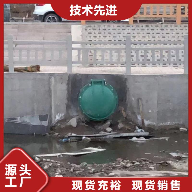 拍門(mén)鑄鐵拍門(mén)支持定制