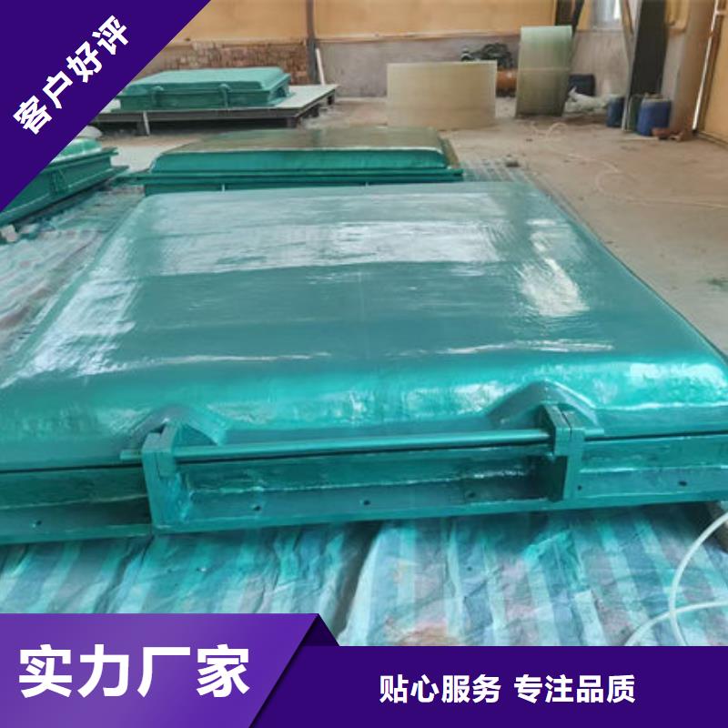 拍門不銹鋼拍門支持非標(biāo)定制