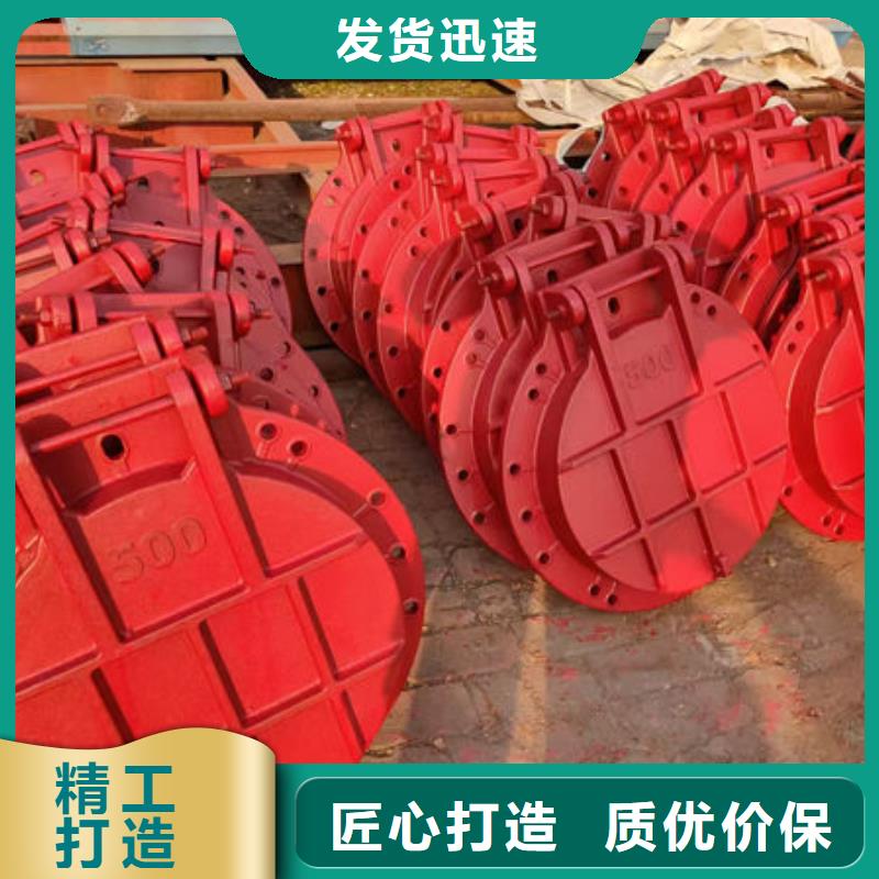 拍門球墨鑄鐵拍門實(shí)力優(yōu)品