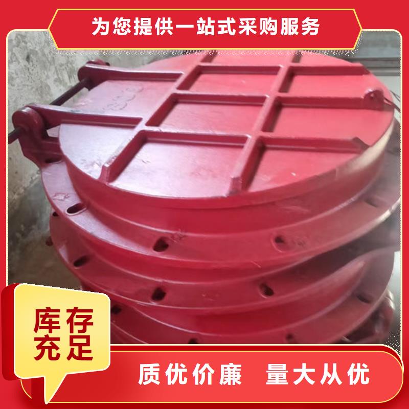 拍門(mén)-防倒灌拍門(mén)廠家實(shí)力雄厚