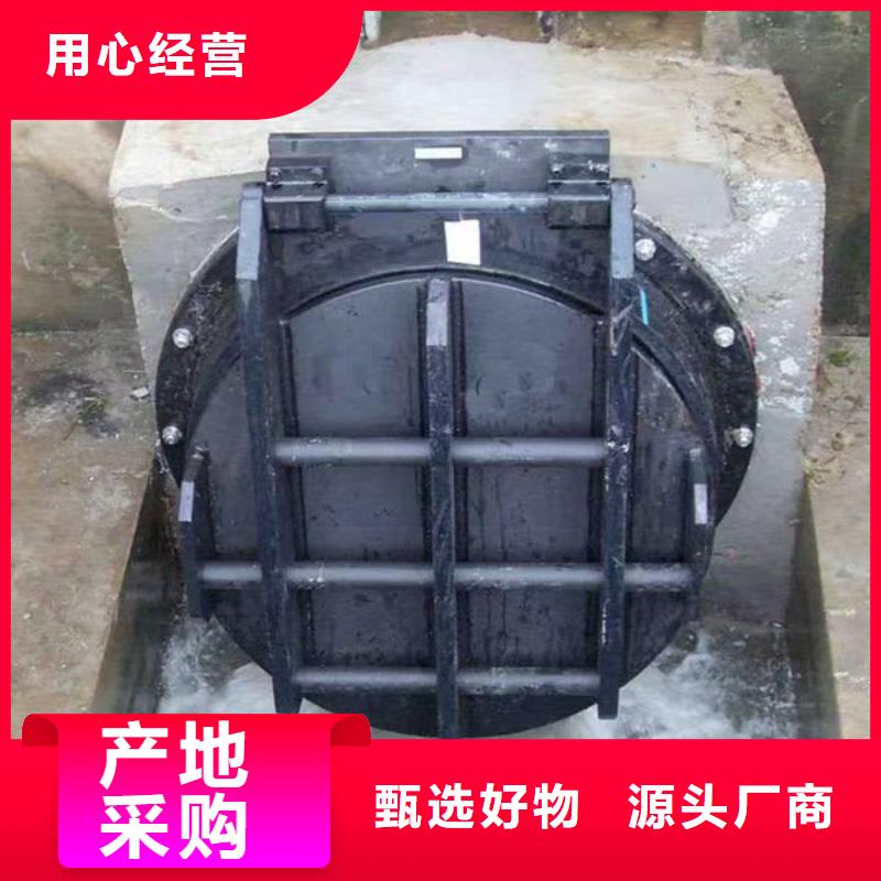 拍門球墨鑄鐵拍門客戶信賴的廠家