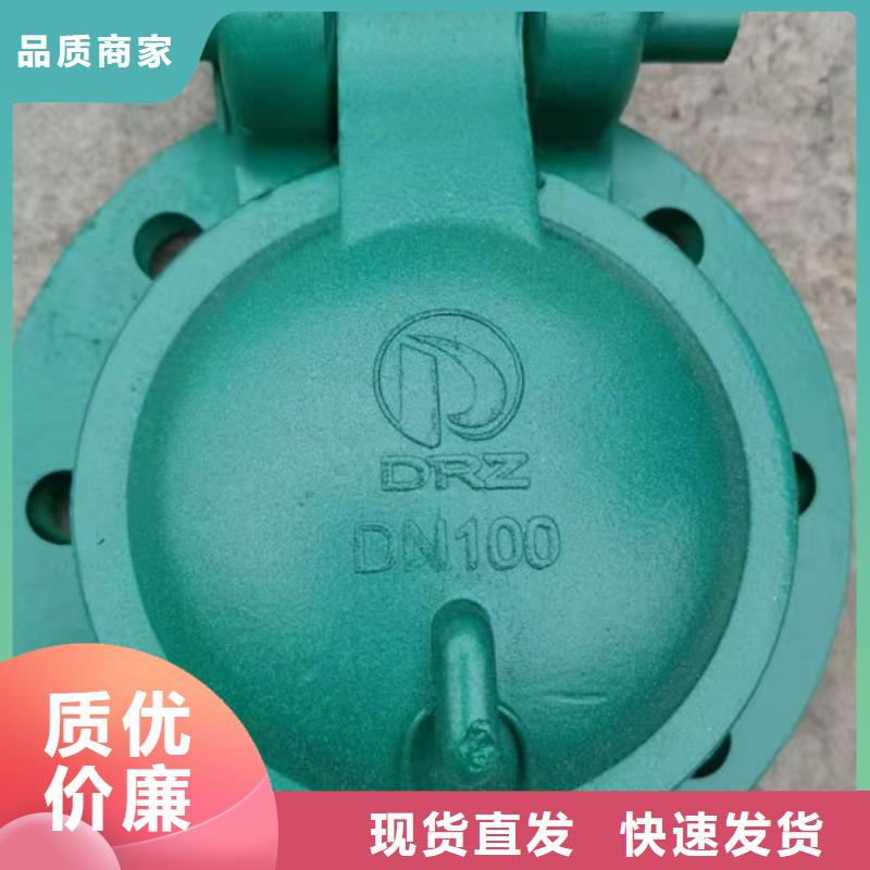 拍門_鋼拍門廠家直銷直供
