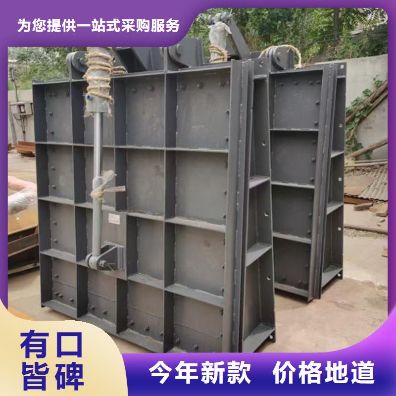 拍門球墨鑄鐵拍門客戶信賴的廠家