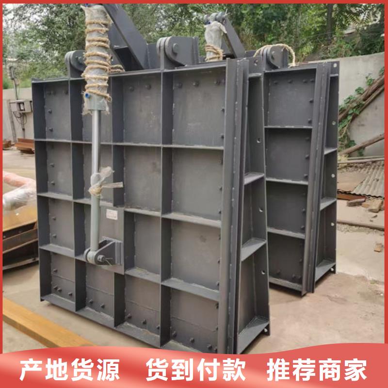 拍門鋼制拍門品質(zhì)值得信賴
