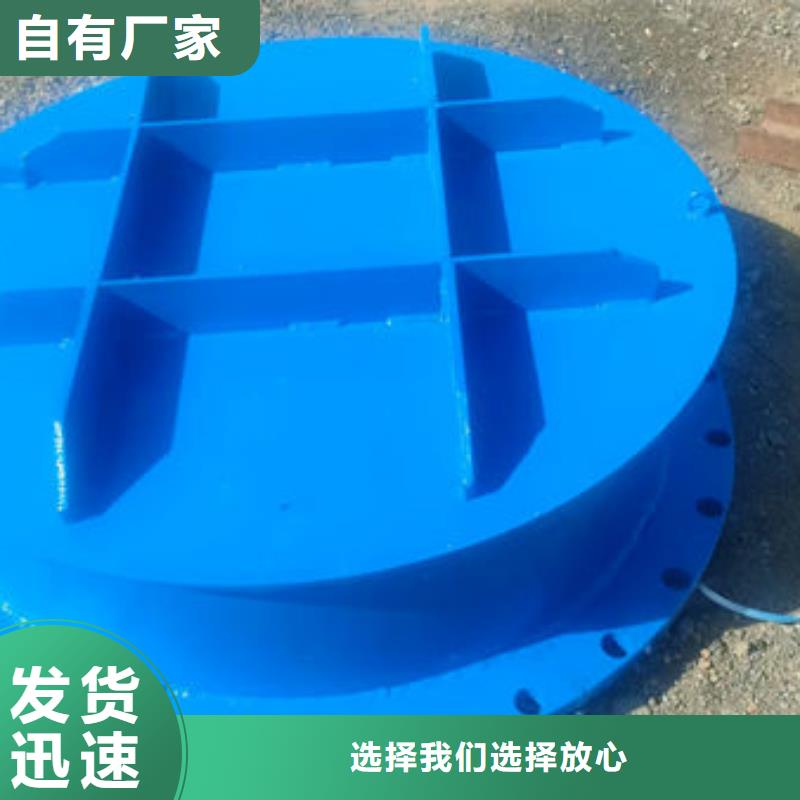 拍門防倒灌拍門一個(gè)起售