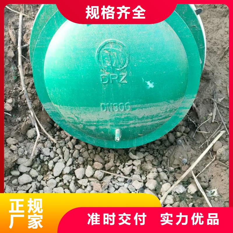 拍門_鋼制拍門好廠家有擔(dān)當(dāng)