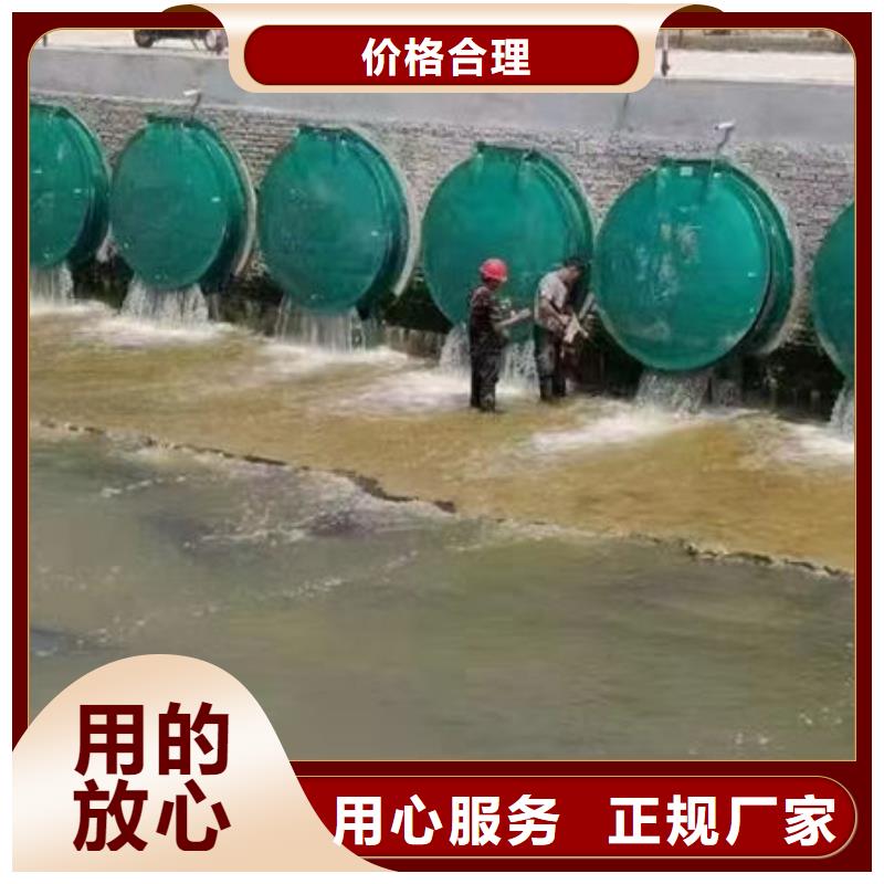 拍門_球墨鑄鐵拍門高品質(zhì)誠信廠家