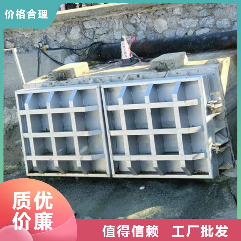 拍門球墨鑄鐵拍門實(shí)力優(yōu)品