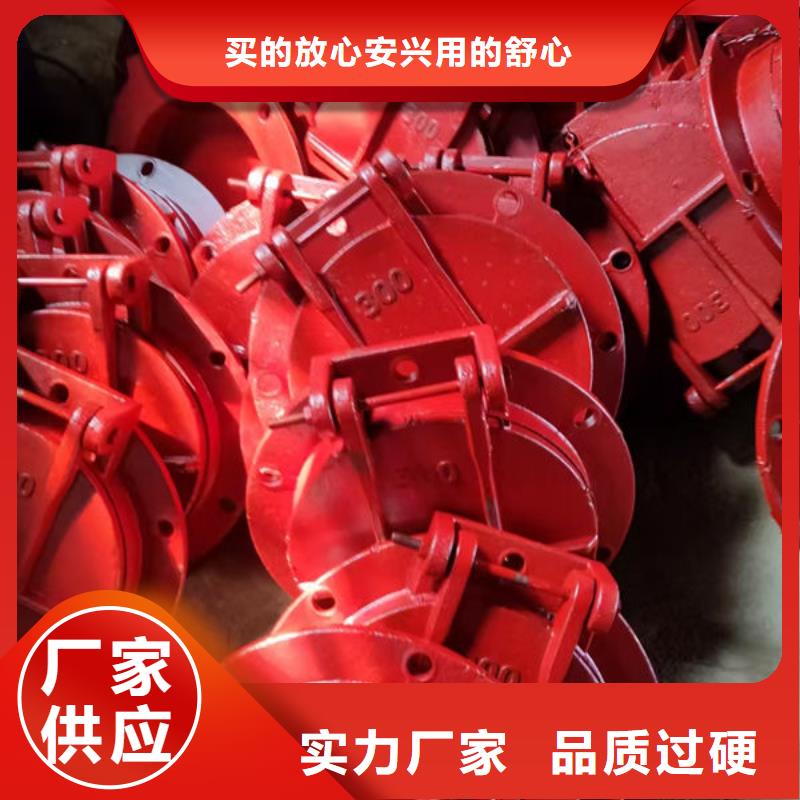 拍門球墨鑄鐵拍門客戶信賴的廠家