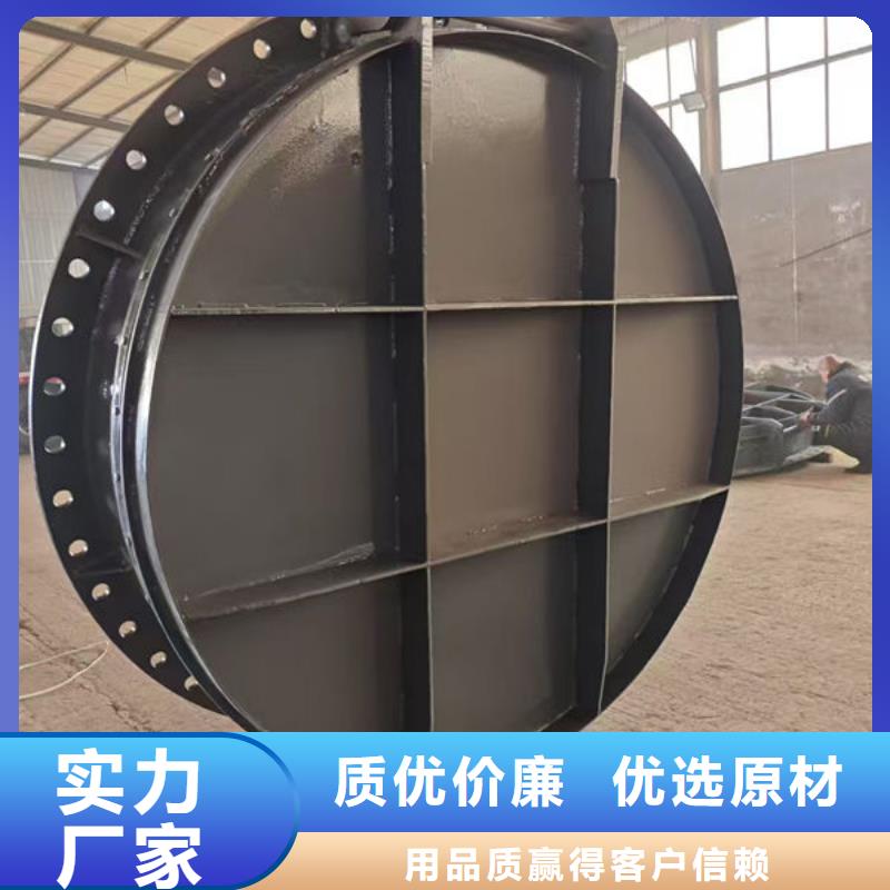 拍門鑄鐵拍門供貨及時