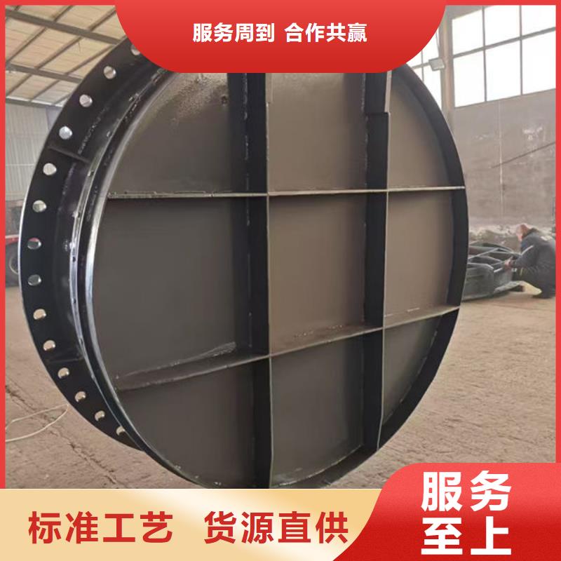 拍門_球墨鑄鐵拍門高品質(zhì)誠信廠家