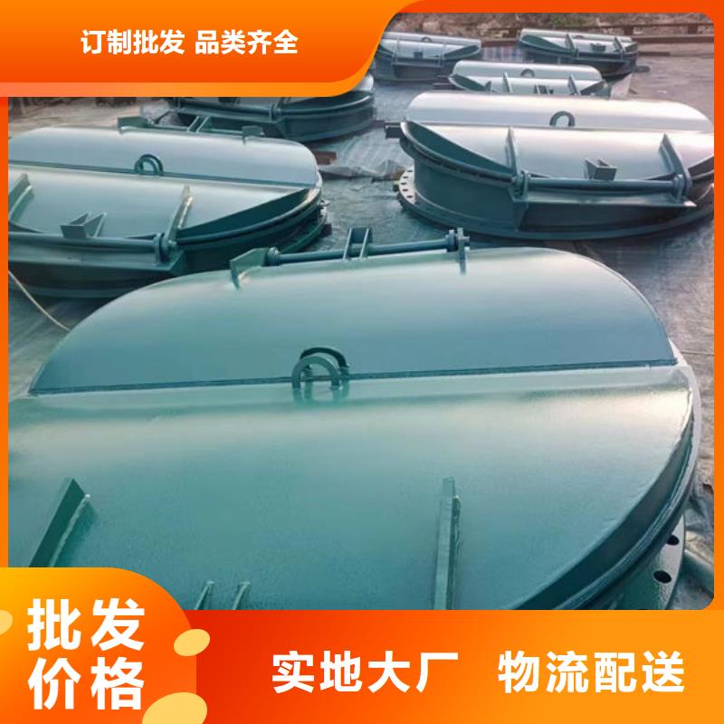 拍門球墨鑄鐵拍門客戶信賴的廠家