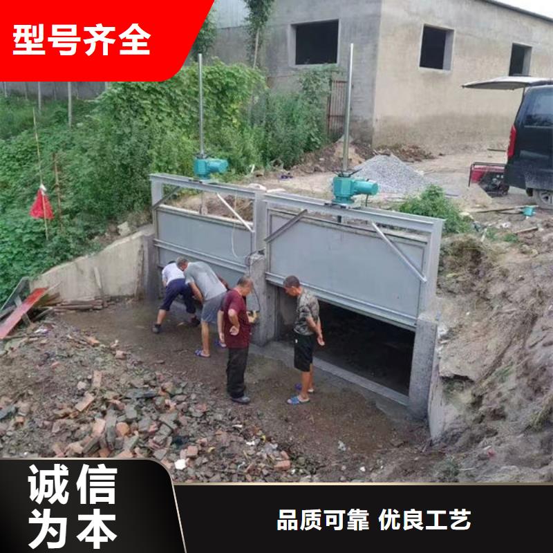 不銹鋼閘門平面鋼閘門來(lái)圖定制量大從優(yōu)
