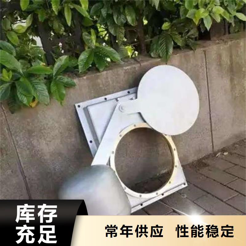 不銹鋼閘門_平面定輪鋼制閘門精心選材