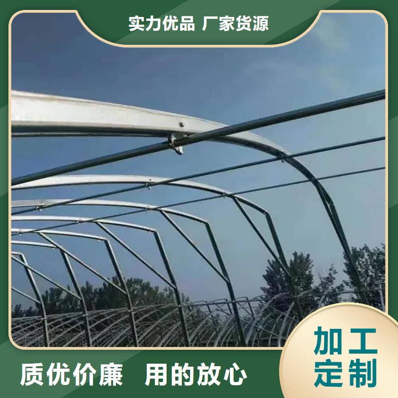 定做養(yǎng)殖大棚管蔬菜大棚管銷售處