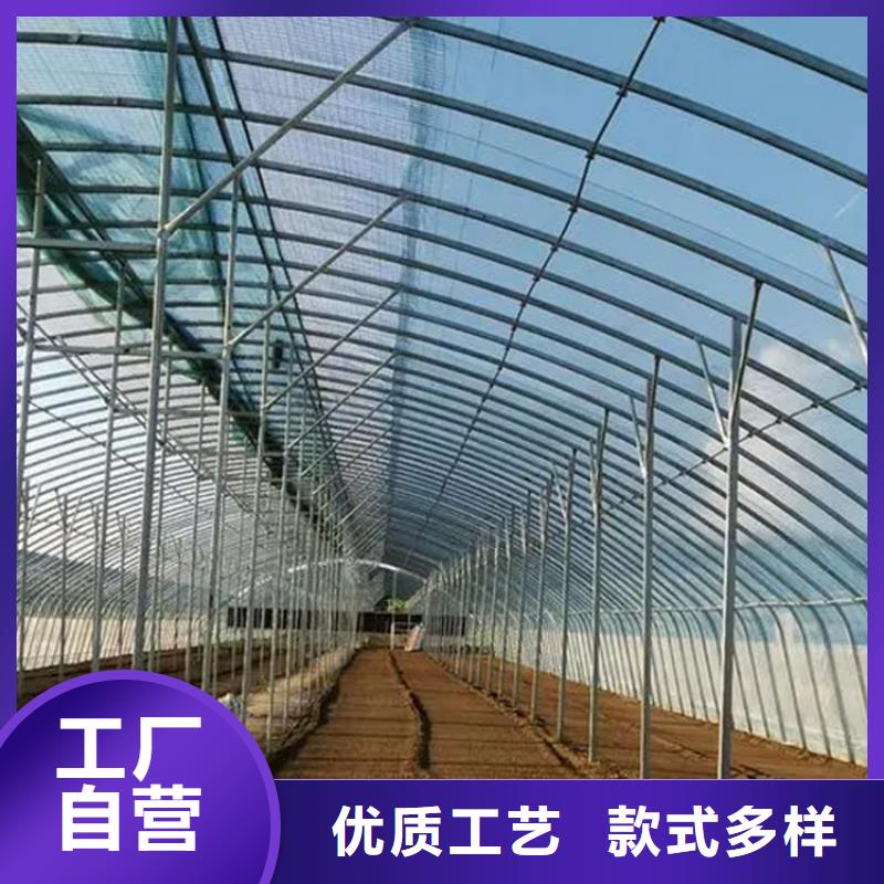 蔬菜大棚橢圓管鍍鋅橢圓管價(jià)格