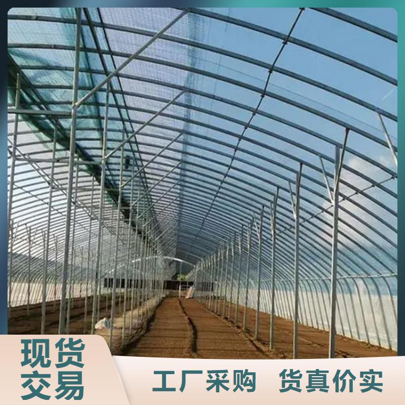 鍍鋅大棚管,導(dǎo)電鋁排廠家型號齊全