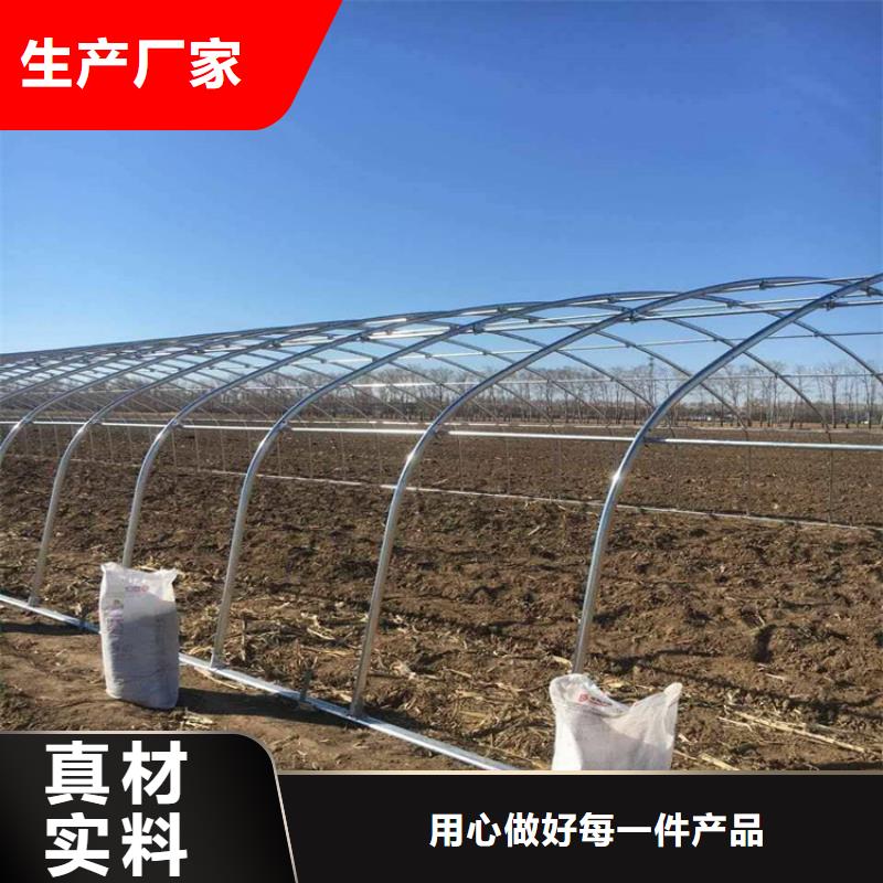 鍍鋅大棚管【異型紫銅管】供應(yīng)采購